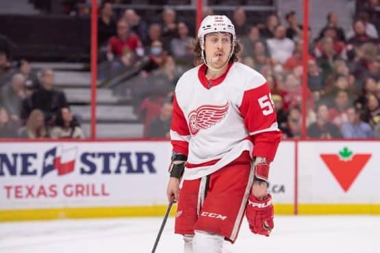 red wings remain rebuilding ship bertuzzi (1)