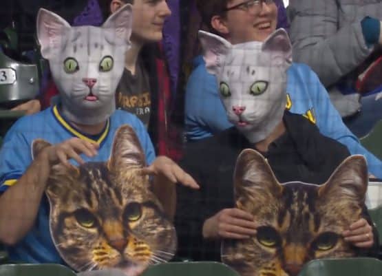 Cats Brewers