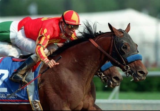 Horse Racing