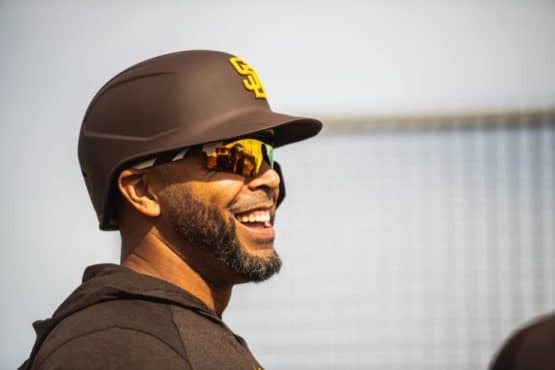 Nelson Cruz