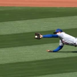 Nimmo Diving Catch