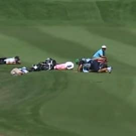 pga tour bees