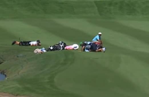 pga tour bees