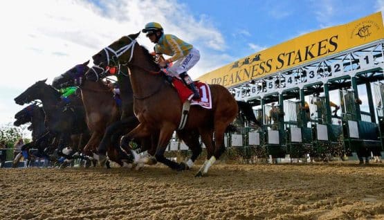 How to Watch the Preakness 2023 Post Position Draw Free Live Stream