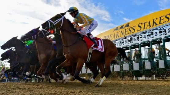 preakness