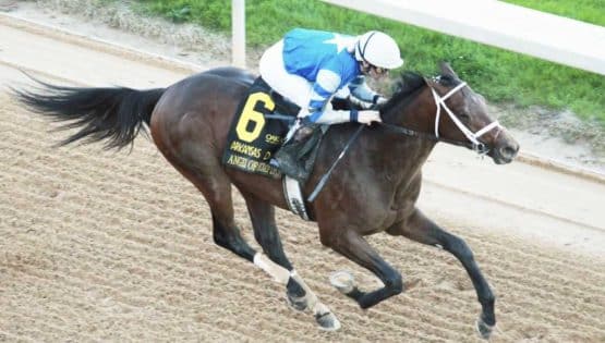 Angel of Empire Odds, Jockey, Trainer, Owner, Pedigree, Equibase Speed Figure, & Horse Racing Stats