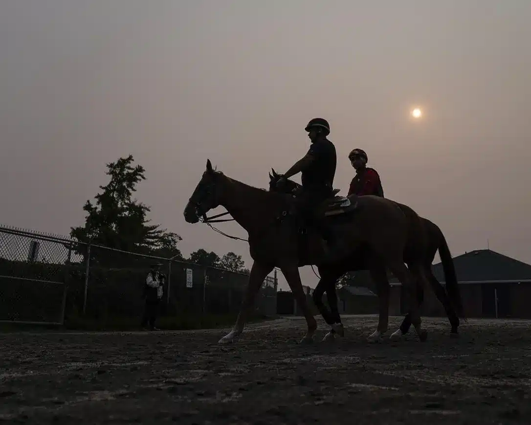 belmont stakes smoke