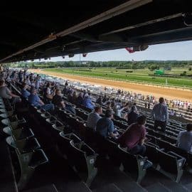The turf at Belmont Stakes