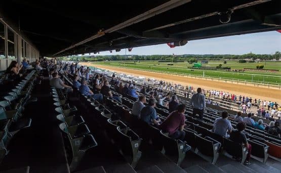 The turf at Belmont Stakes