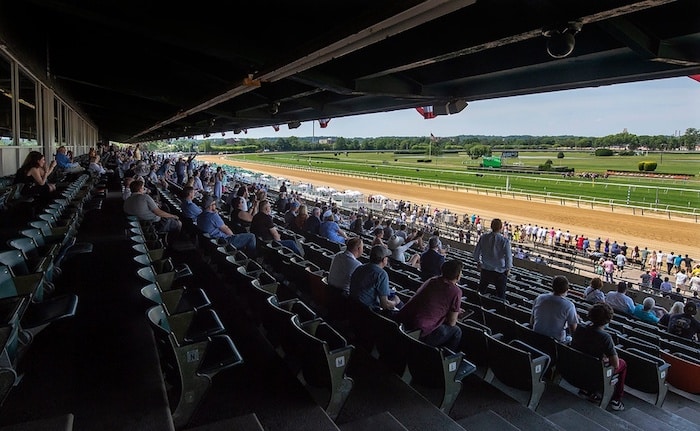 The turf at Belmont Stakes