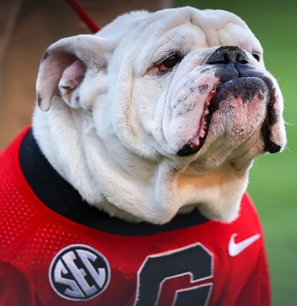 uga 2