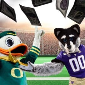puddles and huskie