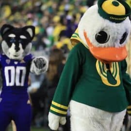 puddles oregon duck washington huskies