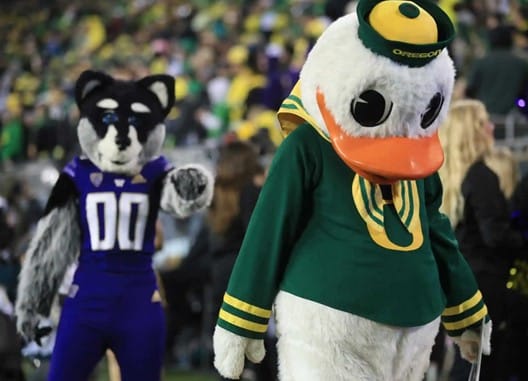 puddles oregon duck washington huskies