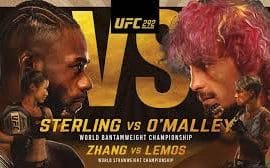 ufc 292