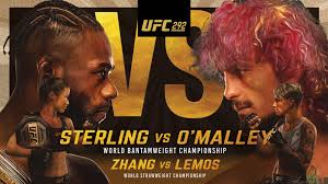 ufc 292