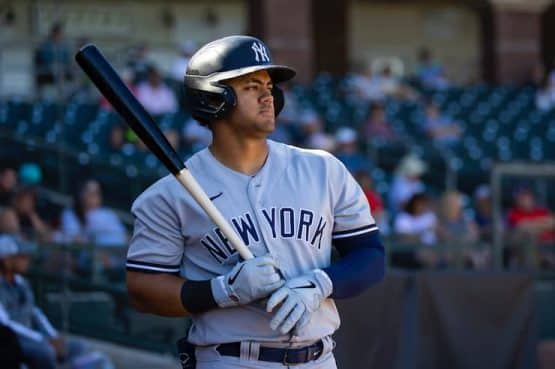 Jasson Dominguez