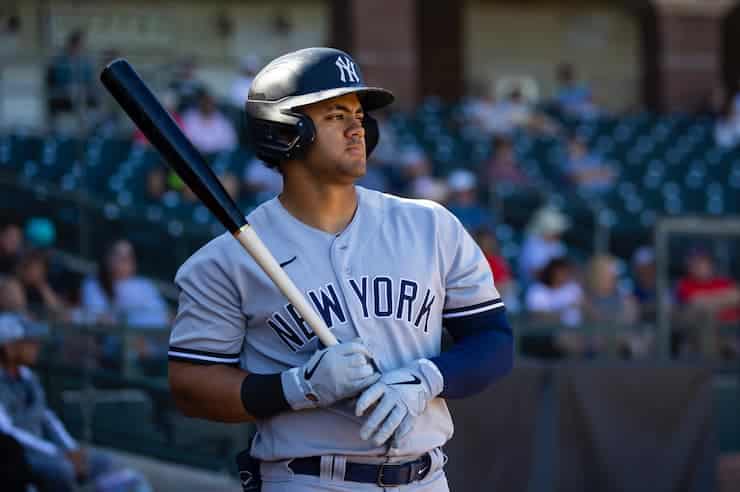 Jasson Dominguez