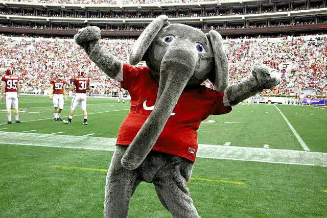alabama elephant