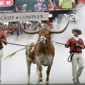 bevo the bull texas