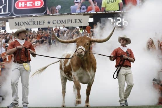bevo the bull texas