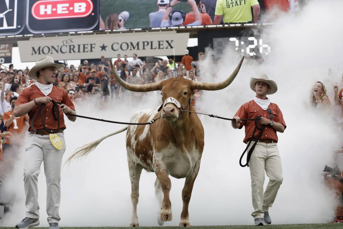 bevo the bull texas