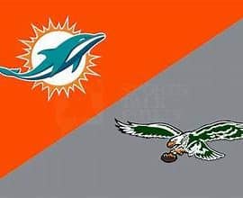 dolphins eagles
