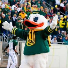 puddles the duck 2