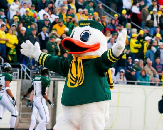 puddles the duck 2