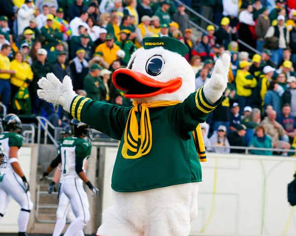 puddles the duck 2