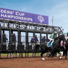 Cómo apostar en la Breeders’ Cup en EE.UU. - Sitios de apuestas deportivas en EE.UU.