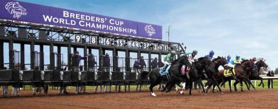 Cómo apostar en la Breeders’ Cup en EE.UU. - Sitios de apuestas deportivas en EE.UU.