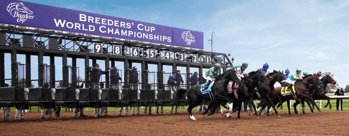 Cómo apostar en la Breeders’ Cup en EE.UU. - Sitios de apuestas deportivas en EE.UU.