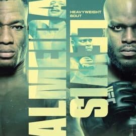 ufc sao paulo (2)