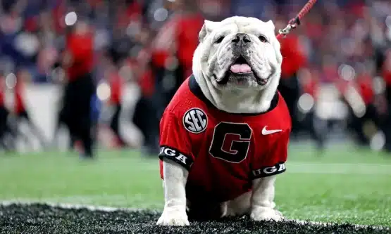 uga x