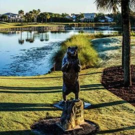 Cognizant Classic 2024 Scorecard For PGA National