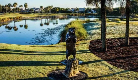 Cognizant Classic 2024 Scorecard For PGA National