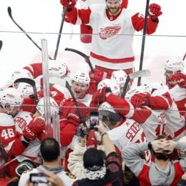 red wings beat hawks (1)
