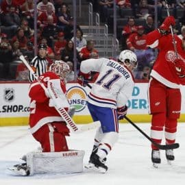 nhl red wings in big big playoff game (1)